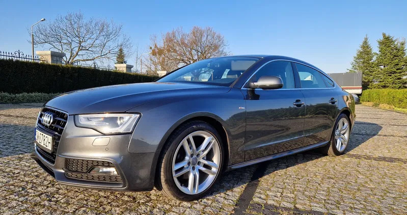 audi a5 Audi A5 cena 69900 przebieg: 221647, rok produkcji 2016 z Bydgoszcz